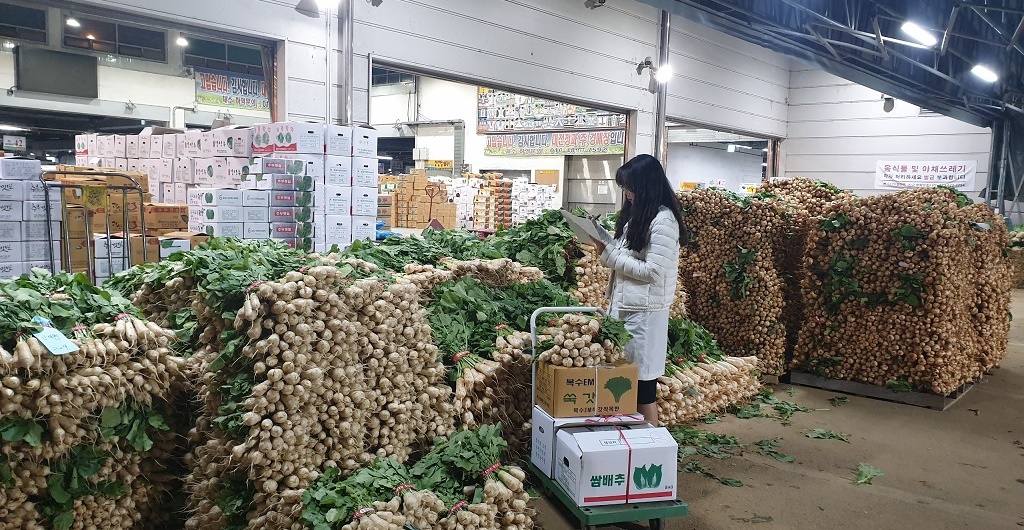 대전보건환경연구원 직원이 농수산도매시장에서 겨울철 김장 재료 농산물을 검사하고 있다.