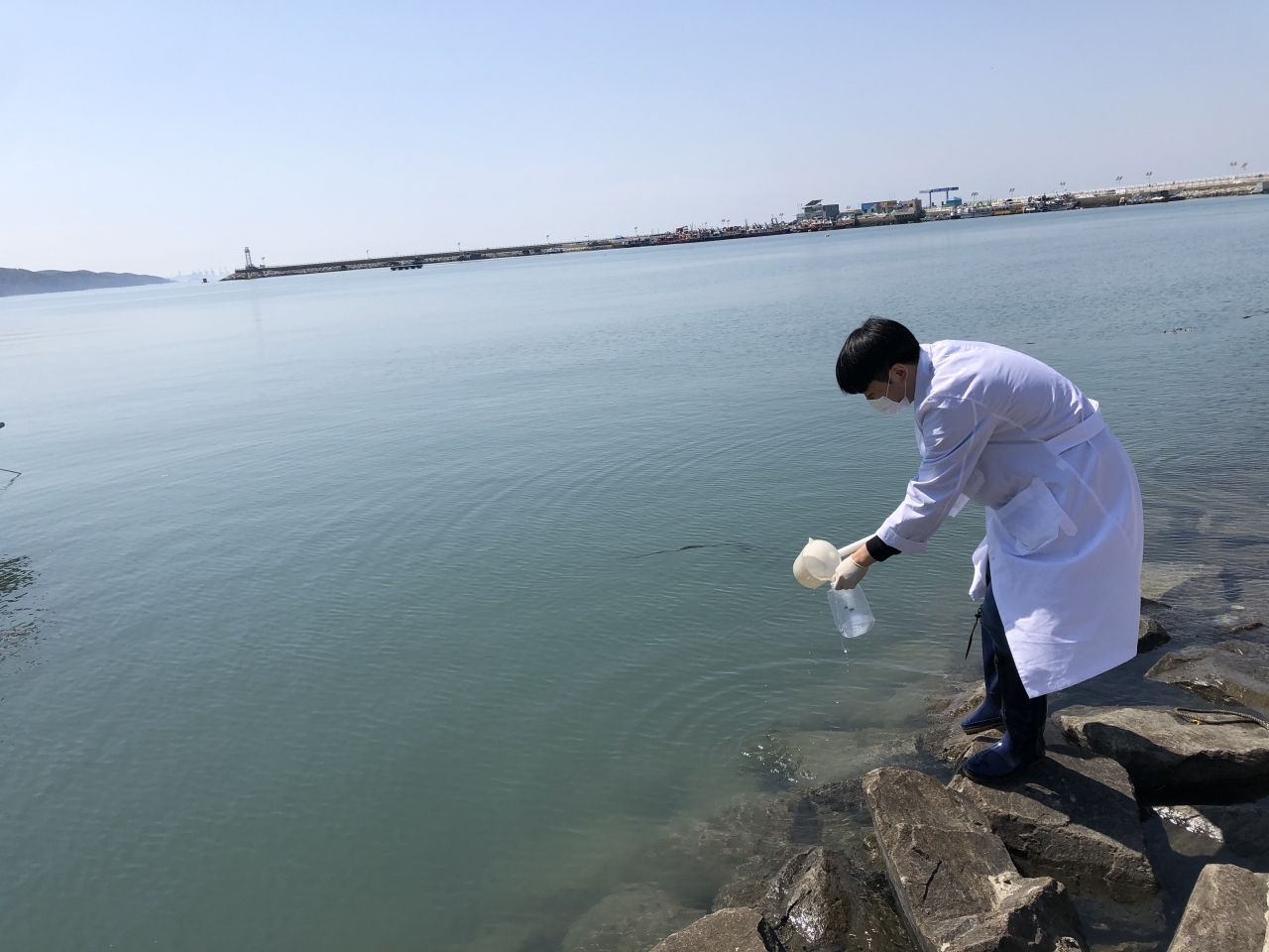 비브리오패혈증균 검출을 위한 해수 채수 모습